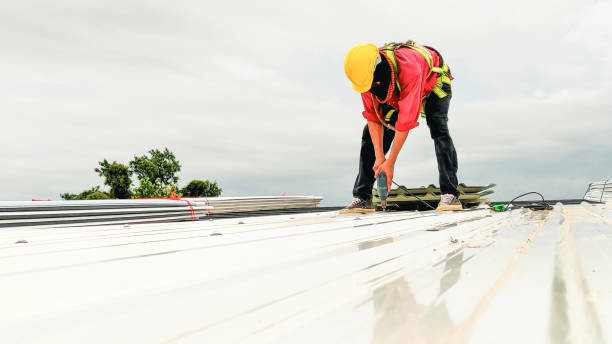 Best Sheet Metal Roofing  in Zion, PA